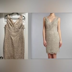 STUNNING Adrianna Papell Embroidered Shimmer Lace Sheath Cocktail V-Neck Dress!